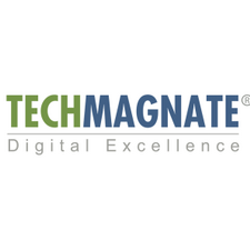 Techmagnate Website Design